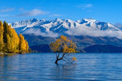 Queenstown to Christchurch via Franz Josef 2-Day Small-Group Tour - Day 1: Cardrona to Wānaka Photos and the Crown Range Scenery