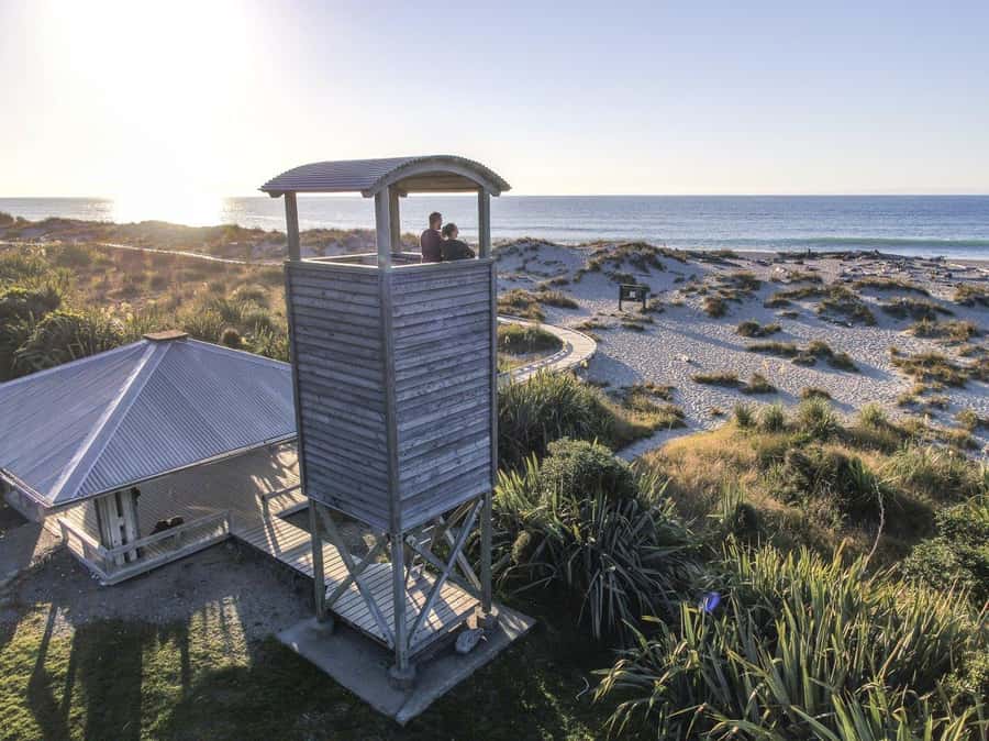 Queenstown to Franz Josef small group tour (one-way) - Ship Creek and Bruce Bay: short stops that add up to a West Coast feel