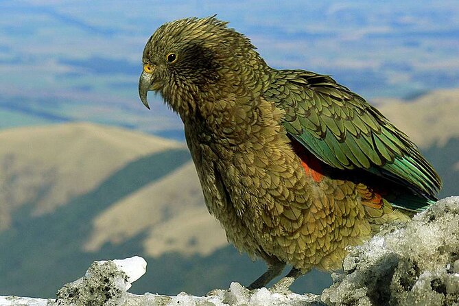 Queenstown to Lake Tekapo via Mt Cook One-Way Small Group Tour - Price and value: is $222.79 a fair deal?