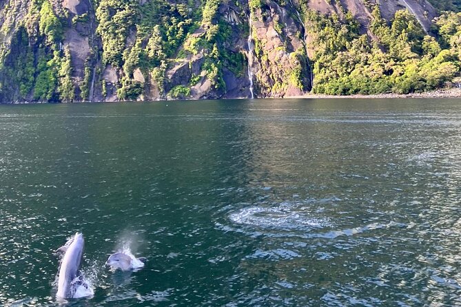 Queenstown to Te Anau via Milford Sound inc Cruise & Lunch - Pops View Look Out and Routeburn area: the return ride has meaning too