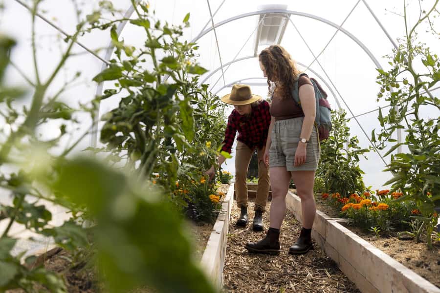 Queenstown: Walter Peak Garden to Table Experience - Timing, weather, and what you should bring