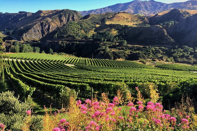 Queenstown Wine Tour - Price and value: what $160.73 buys you in practice