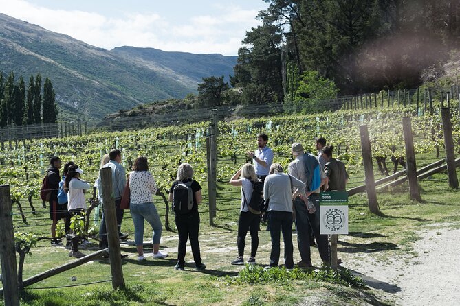 Queenstown Wine Tour - Gibbston Valley Cave | Kinross | Amisfield - Key things to know before you go