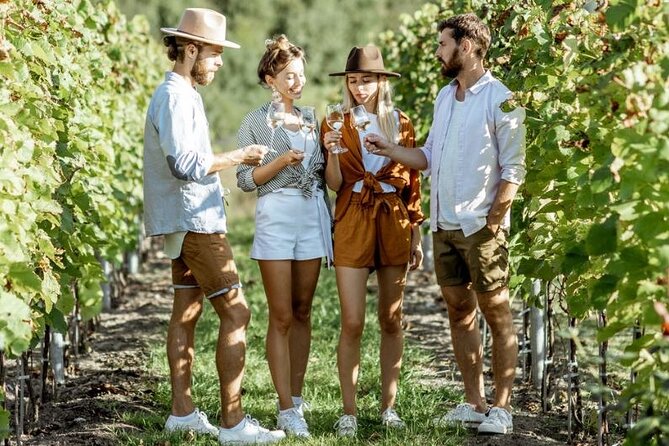 Queenstown Wine Tour - Gibbston Valley Cave | Kinross | Amisfield - The minivan comfort and small-group rhythm (max 10 adults)