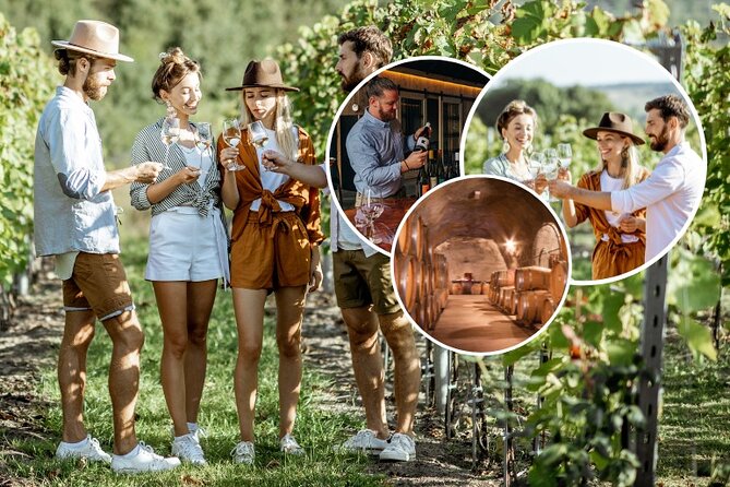 Queenstown Wine Tour - Gibbston Valley Cave | Kinross | Amisfield - Stop 1: Gibbston Valley Winery and New Zealand’s wine cave tour