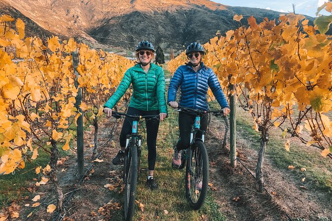 Ride Queenstown’s Stunning Trails on a Mountain Bike - Value Check: Why About $28 Can Make Sense
