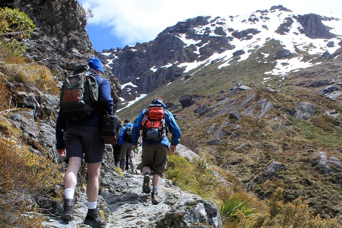 Routeburn Track Guided Hike (Full Day) - Quick take: what makes this Routeburn day so good