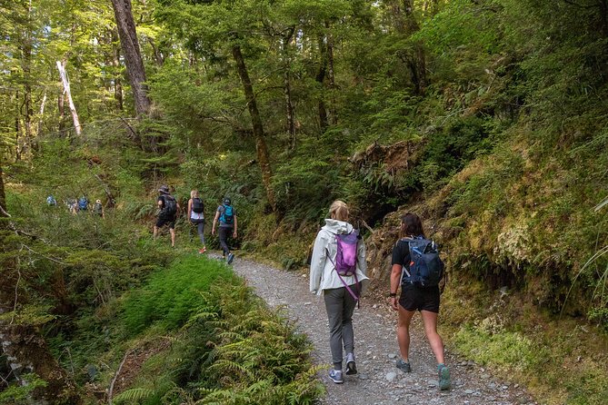 Routeburn Track Guided Hike (Full Day) - From Queenstown to the trail: how the day is built