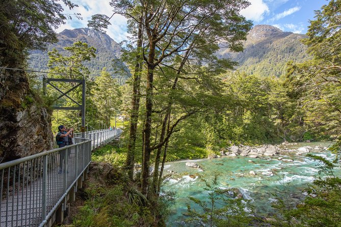 Routeburn Track Guided Hike (Full Day) - The guided hike itself: forest steps, canyon crossings, and waterfall stops