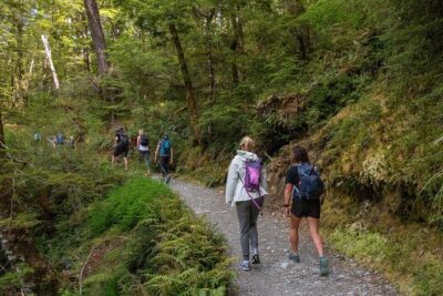 Routeburn Track Guided Walk (Half-Day) - Lake Wakatipu: The Easy First Win Before the Trail