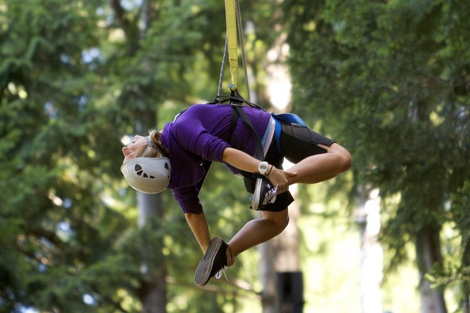 Small-Group Zipline Adventure in Queenstown - The ziplines themselves: forest canopy, Lake Wakatipu views, and a smooth pace