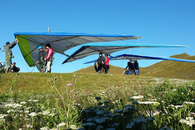 Tandem Hang Gliding - Price and Logistics: Is $222.17 Per Person Worth It?