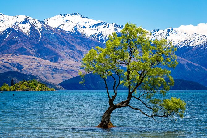 Wanaka Private Day Trip from Queenstown: TravelnGo - Key things I’d plan for