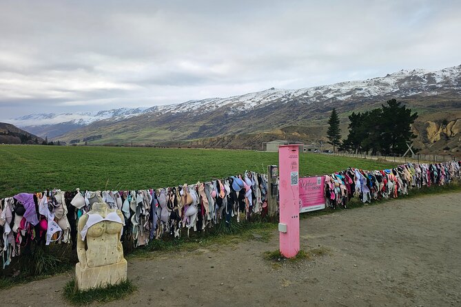 Wanaka Private Day Trip from Queenstown: TravelnGo - Private Wanaka day trip: built around your pace, not a schedule