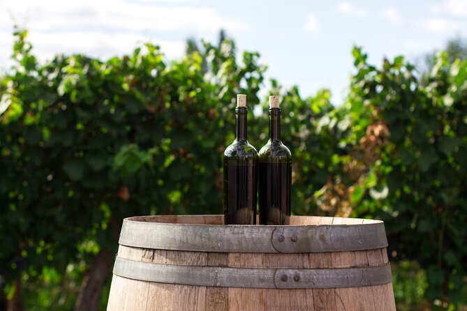 Wines and Views Private Wine Tour of Otago from Queenstown - How to get the most from your guide (and the tastings)