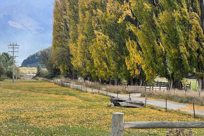 Wines and Views Private Wine Tour of Otago from Queenstown - Logistics that affect your day: timing, tickets, and weather
